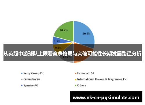 从英超中游球队上限看竞争格局与突破可能性长期发展路径分析