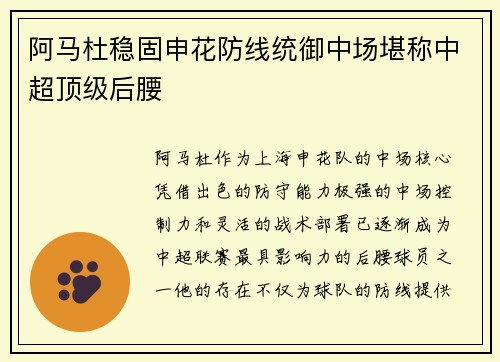 阿马杜稳固申花防线统御中场堪称中超顶级后腰